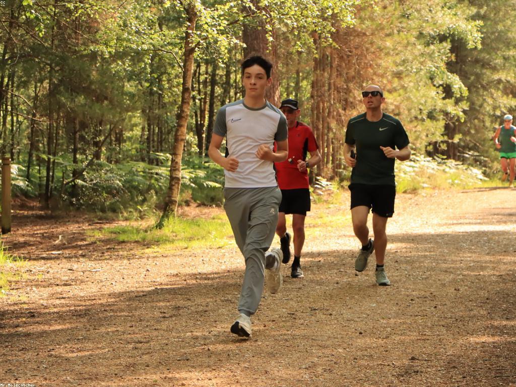 សម្រង់កម្សាន្ត: ការប្រកួតប្រជែងនិងសារសំខាន់ក្នុងជីវិត