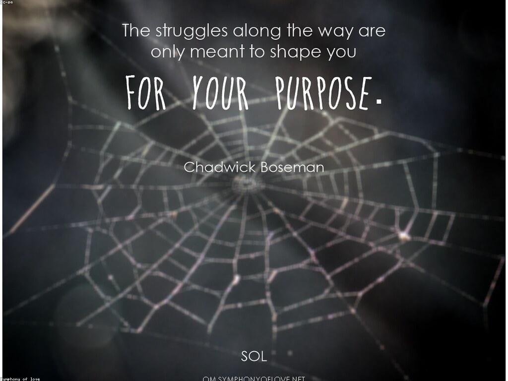 ការពិភាក្សាអំពីជើងឯក